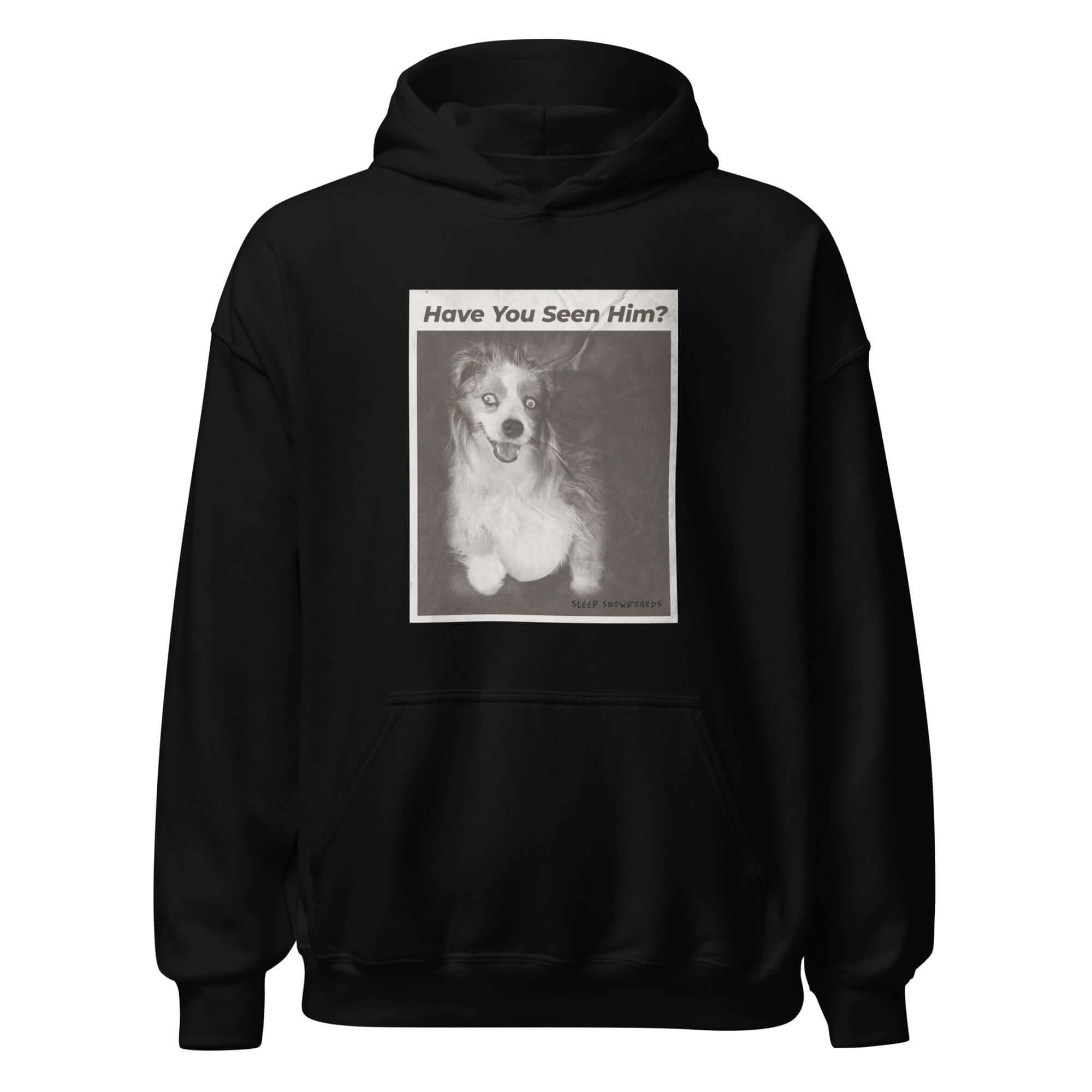 HAVE YOU SEEN HIM HOODIE